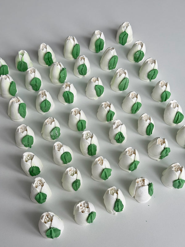 Small Tulip - pure white