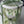Load image into Gallery viewer, White tulips Large_bouquet
