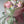 Load image into Gallery viewer, Mix flowers Small_bouquet
