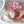 Load image into Gallery viewer, Delux tulips - pink
