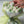 Load image into Gallery viewer, White tulips Large_bouquet
