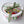 Load image into Gallery viewer, Delux tulips - mix
