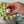 Load image into Gallery viewer, Yellow tulips Delicate_bouquet
