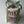 Load image into Gallery viewer, Mix tulips Delicate_bouquet
