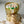Load image into Gallery viewer, Cream tulips Gold Small_bouquet
