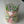 Load image into Gallery viewer, Purple tulips Delicate_bouquet
