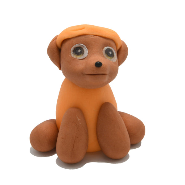 Orange PAW SET