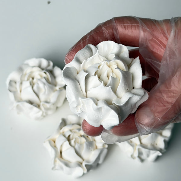 Camellia-white