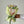Load image into Gallery viewer, Tulips Bouquet
