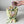 Load image into Gallery viewer, Handmade bouquet of marshmallow tulips with a hand wearing a glove holding a single flower in a light backgroud.
