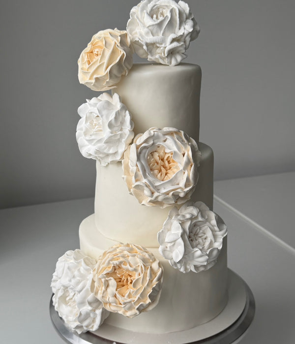 Large cream peony