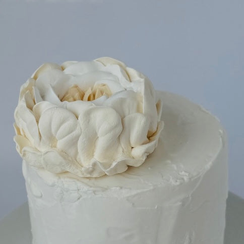 Large cream peony