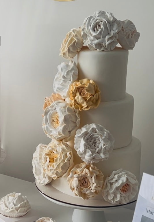 Flowers Set - ivory cream