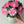 Load image into Gallery viewer, 3 Large Peonies - bright pink
