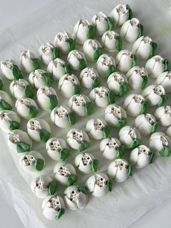 20 Small Tulips - pure white