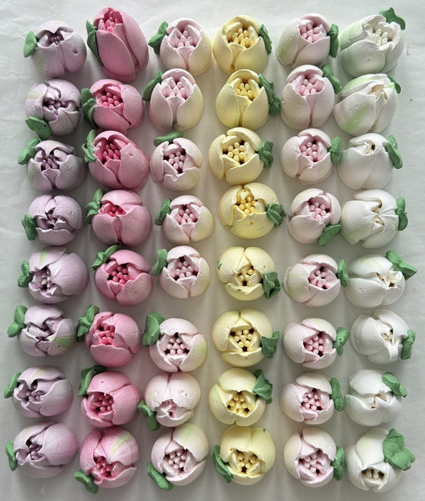 20 Small Tulips - mixed colours