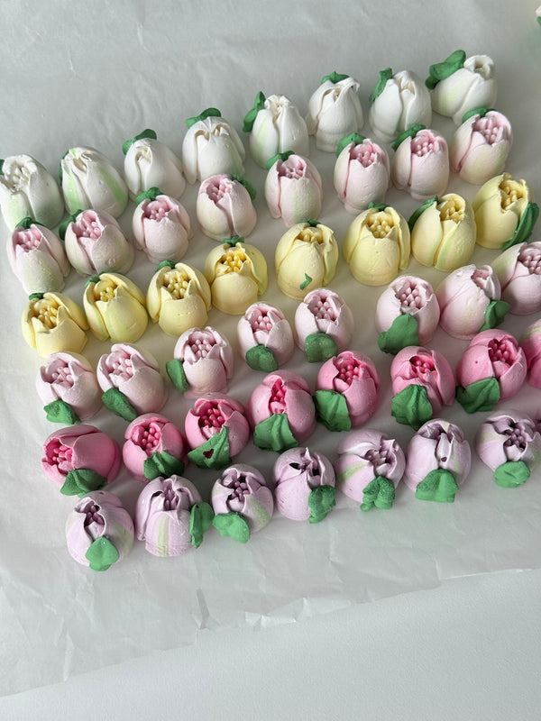 20 Small Tulips - mixed colours