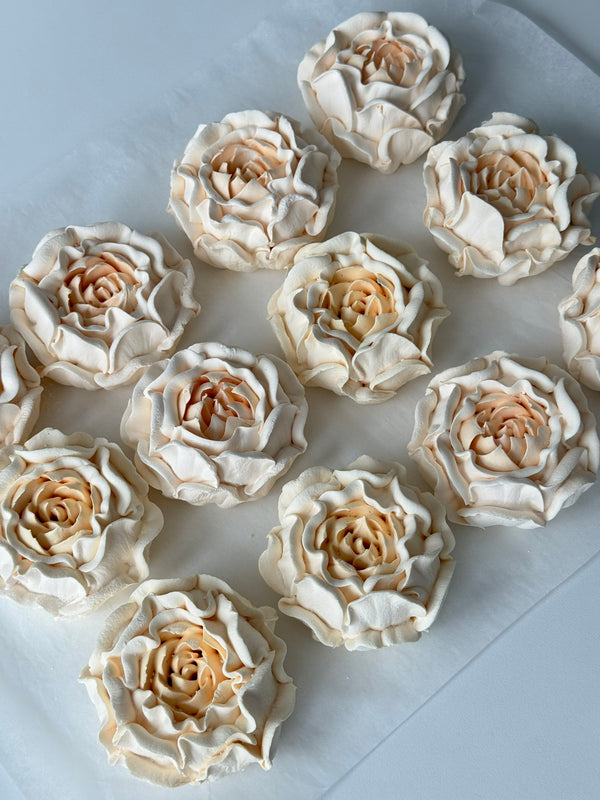 Flowers Set - ivory cream