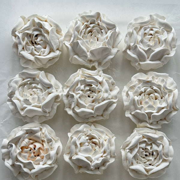 Large Peony - pure white