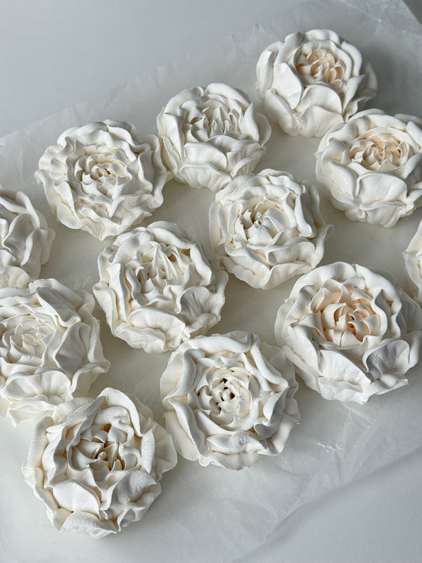 Flowers Set - ivory cream