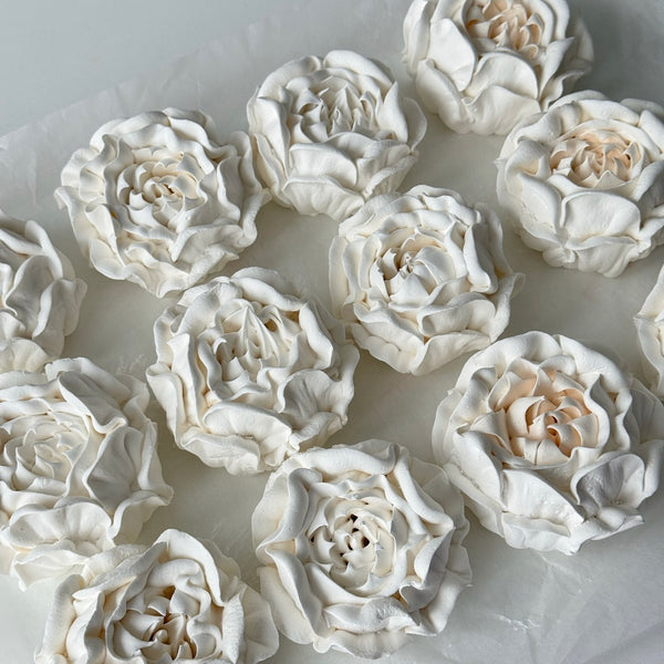 Large Peony - pure white