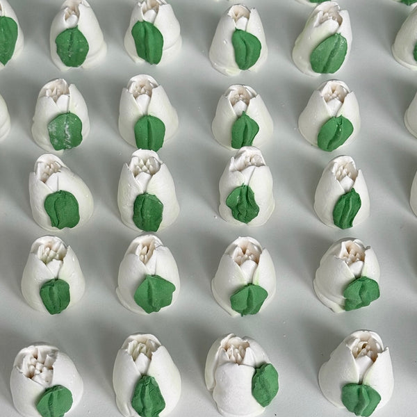 20 Small Tulips - pure white