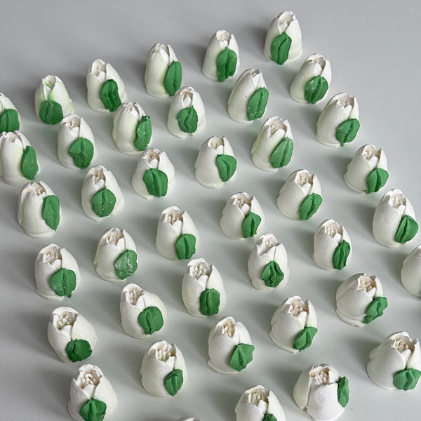 20 Small Tulips - pure white
