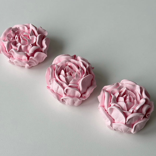 Large Peony - blush pink