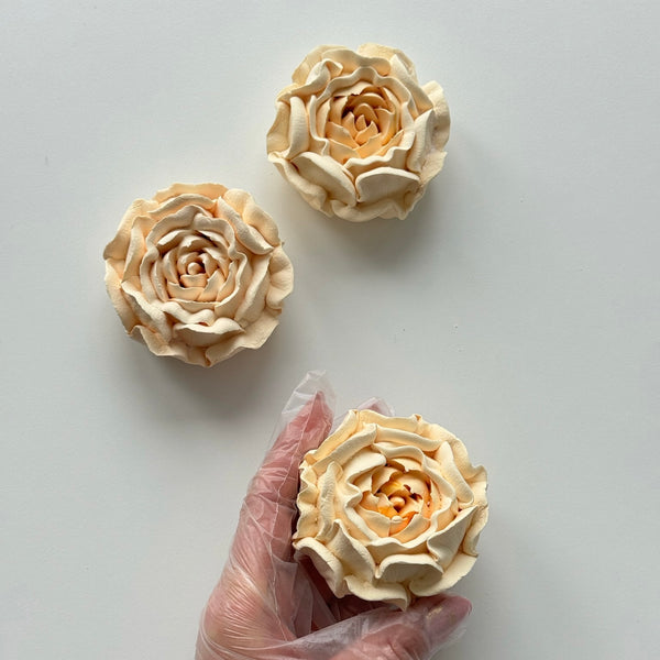 3 Large Peonies - ivory cream