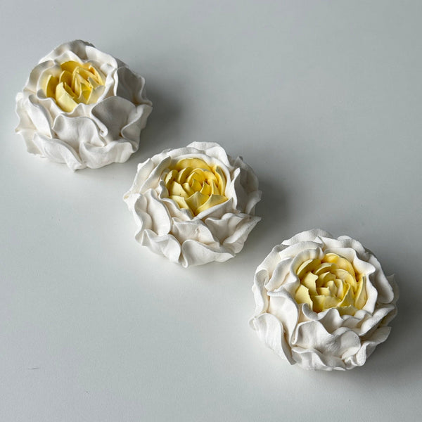 Large Peony - white with yellow