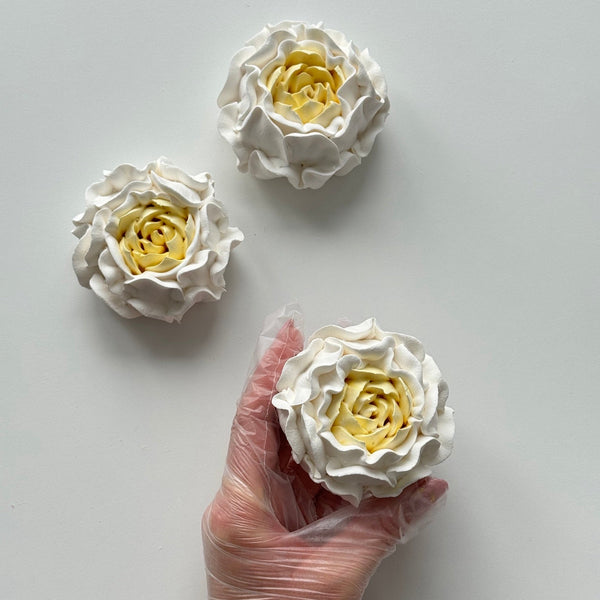Large Peony - white with yellow