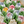 Load image into Gallery viewer, LBN047
