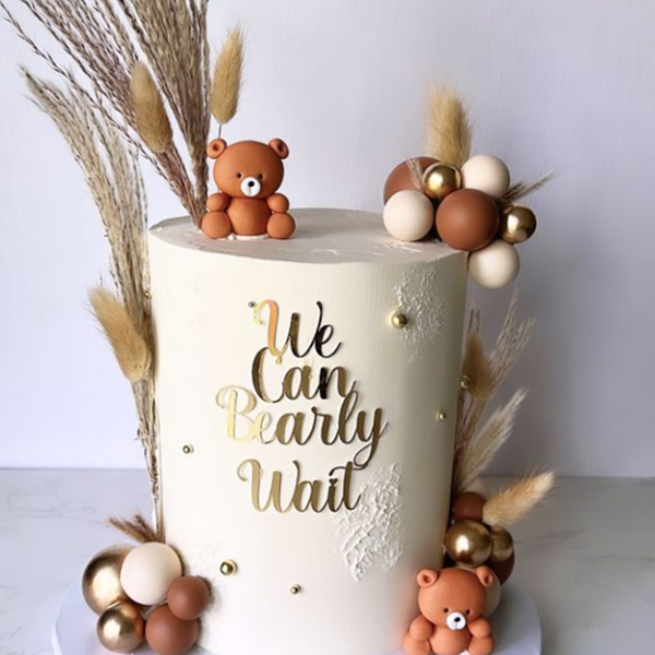 Brown TEDDY SET