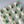 Load image into Gallery viewer, edible marshmallow tulip toppers arranged on a white background
