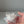 Load and play video in Gallery viewer, Small Rose - Clear Bag
